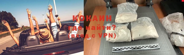 прущие грибы Баксан