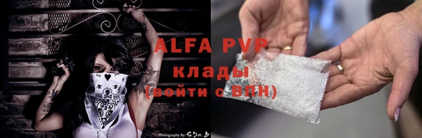 прущие грибы Баксан