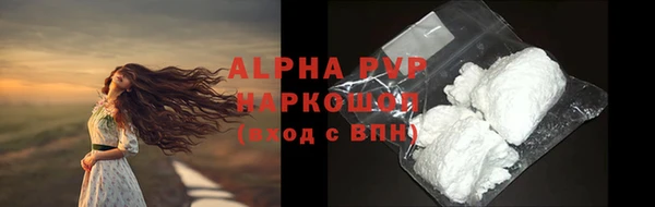 прущие грибы Баксан