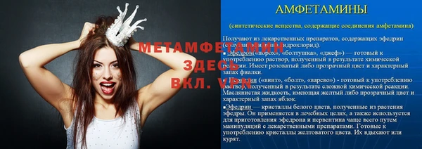 прущие грибы Баксан