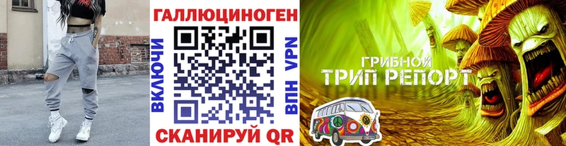 Галлюциногенные грибы Cubensis  Изобильный 