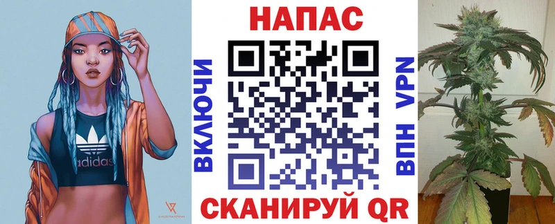 Канабис конопля Изобильный
